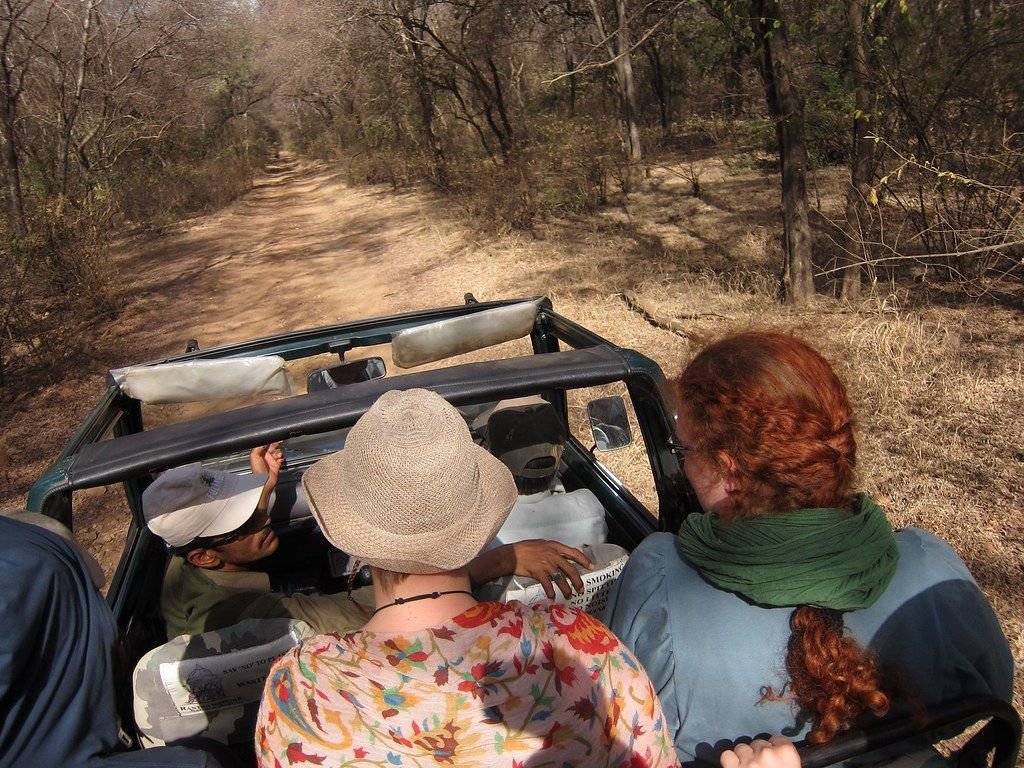 Visitors on a jeep safari in Ranthambore