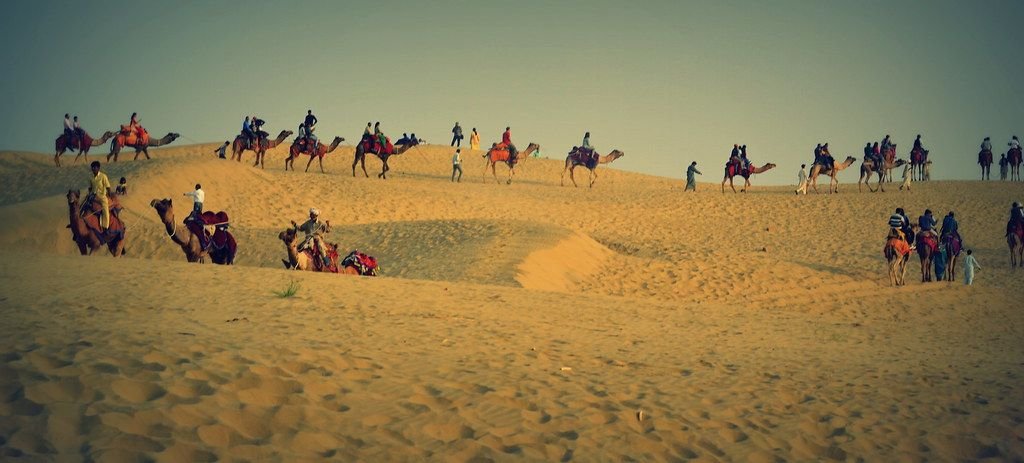 Camel rides on desert sand dunes
